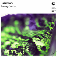 Teamworx