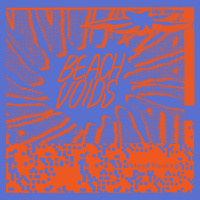 BEACH VOIDS
