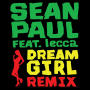 Dream Girl (feat. lecca) [Remix]
