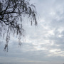Rainy Day