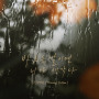 The Rain reminds me of you