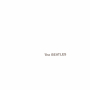 The Beatles(Remastered)