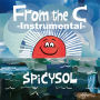 SPiCYSOL「From the C -Instrumental-」