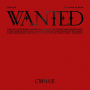 CNBLUE「WANTED」