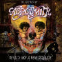 The Very Best Of Aerosmith: Devil's Got A New Disguise