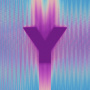 Y
