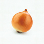 onion