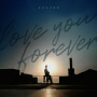 LOVE YOU, FOREVER