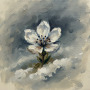 Winter Bloom