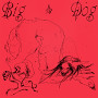 Big Dog