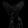 WINGS OVER MY EYES