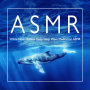 White Noise Relieve Deep Sleep Wave Meditation ASMR