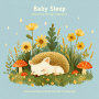 Baby Sleep Education During Pregnancy : Classical And Nursery Rhyme Music Box For Rainy Days