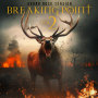 Breaking Point Vol. 2 - Aggro Rock Tension