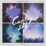 Canopy Sky