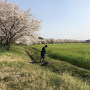春を待つ僕ら