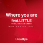 BlooDye「Where you are feat.LITTLE(KICK THE CAN CREW) (New Chorus Ver.)」