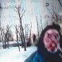 Liars「We Fenced Other Gardens With The Bones Of Our Own」