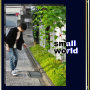 small world