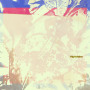 Highvision