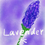 LAVENDER【春】
