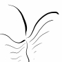 polyphony wave