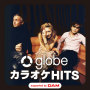 globe カラオケ HITS supported by DAM