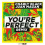 チャーリー・ブラック「You're Perfect(Remix) feat.フアン・マガン」