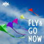 FLY & GO NOW