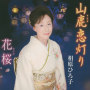 山鹿恋灯り／花桜