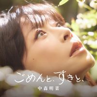 中森明菜