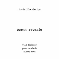 invisible design
