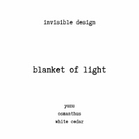 invisible design