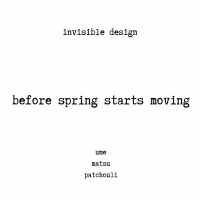 invisible design