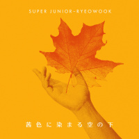 SUPER JUNIOR-RYEOWOOK