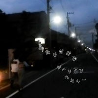 シベリアンハスキー