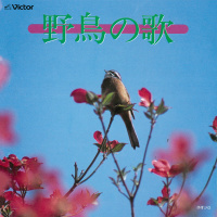 自然音