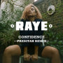 Confidence(Preditah Remix) feat.ナナ・ローグス