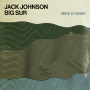 Big Sur(MIke D Remix)