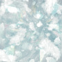 千年鳥