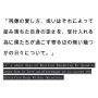残像の愛し方