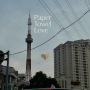 Paper Towel Love