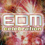 EDM Celebration