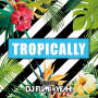 DJ FUMI★YEAH!「Tropically mixed by DJ FUMI★YEAH!」