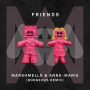 Marshmello & Anne-Marie「FRIENDS (Borgeous Remix)」