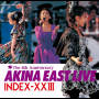 中森明菜「AKINA EAST LIVE  INDEX-ⅩⅩIII」