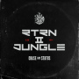 チェイス&ステイタス「RTRN II JUNGLE」