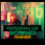 Professional Liar(Village Remix)