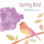 Spring Bird