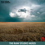 Mind Games(The Raw Studio Mixes)